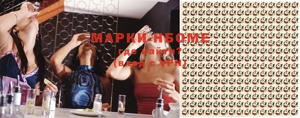 твердый Лагань