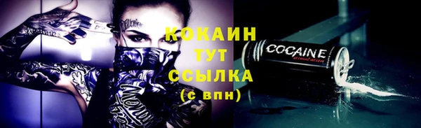 твердый Лагань