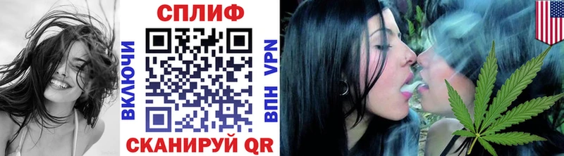 купить   Высоцк  Бошки марихуана тримм 